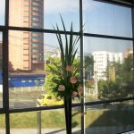 cortinas-enrollables-bogota-salas-7